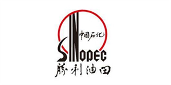 胜利油田-立新客户