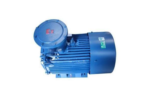 explosion_proof_three_phase_induction_motor